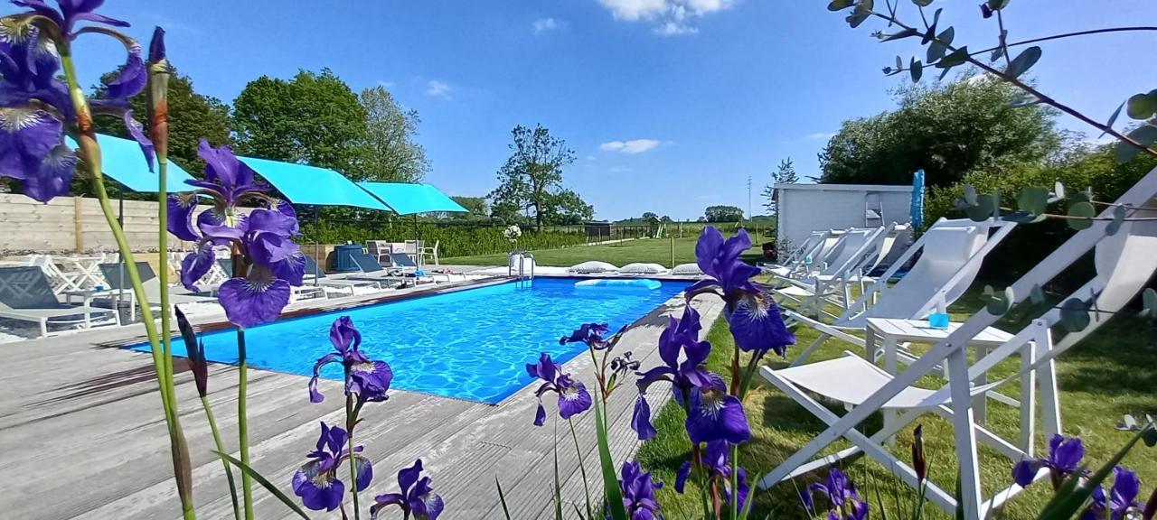 Villa Blue Garden B&B Vlaamse Ardennen Nabij Pairi Daiza Geraardsbergen Exterior photo